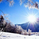 Lire la suite à propos de l’article Des Impressions Blanc comme neige