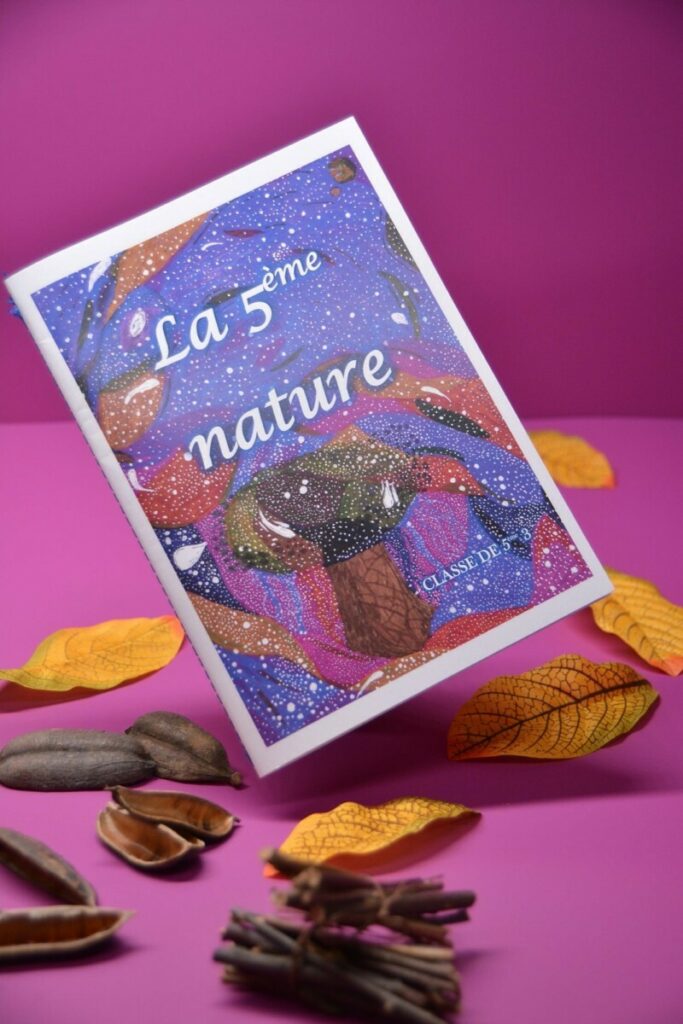 Livret recueil de poésies d’automne de collégiens – Reliure couture Singer bleu au pli