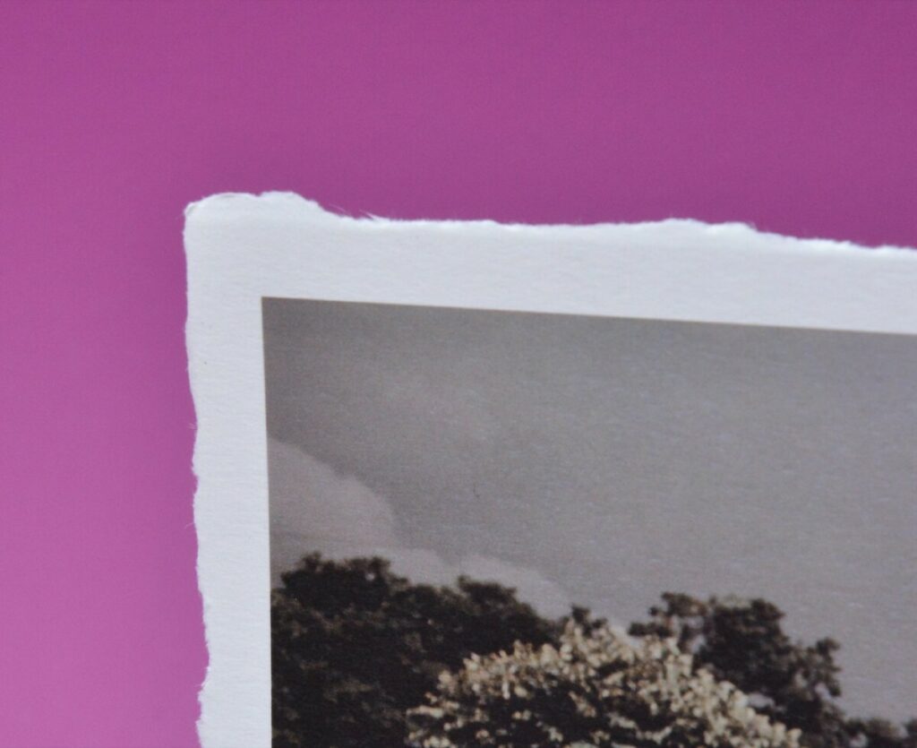 Carte de remerciements photo sur papier coton à bords frangés – Pur Coton 350gr/m2