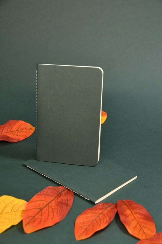 Mini carnets de notes A6 avec angles arrondis 9mm – Reliure couture singer au pli – Intérieur pages blanc naturel – Colorplan Racing Green