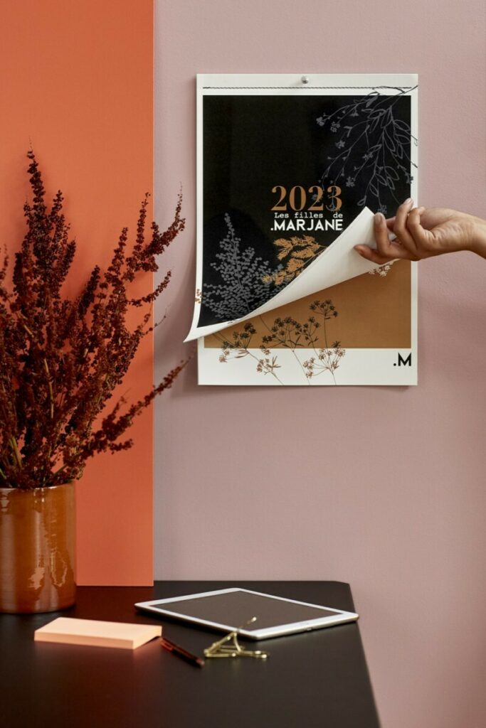 Calendrier mural illustrations fleuries bi-ton – Gypsophile – Reliure Singer détachable avec trou