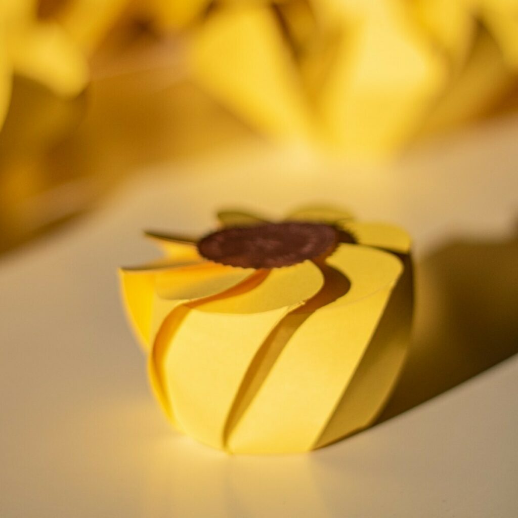 Carte voeux emballage origami fleurs – découpe et rainage laser – Gmund Colors Matt 31