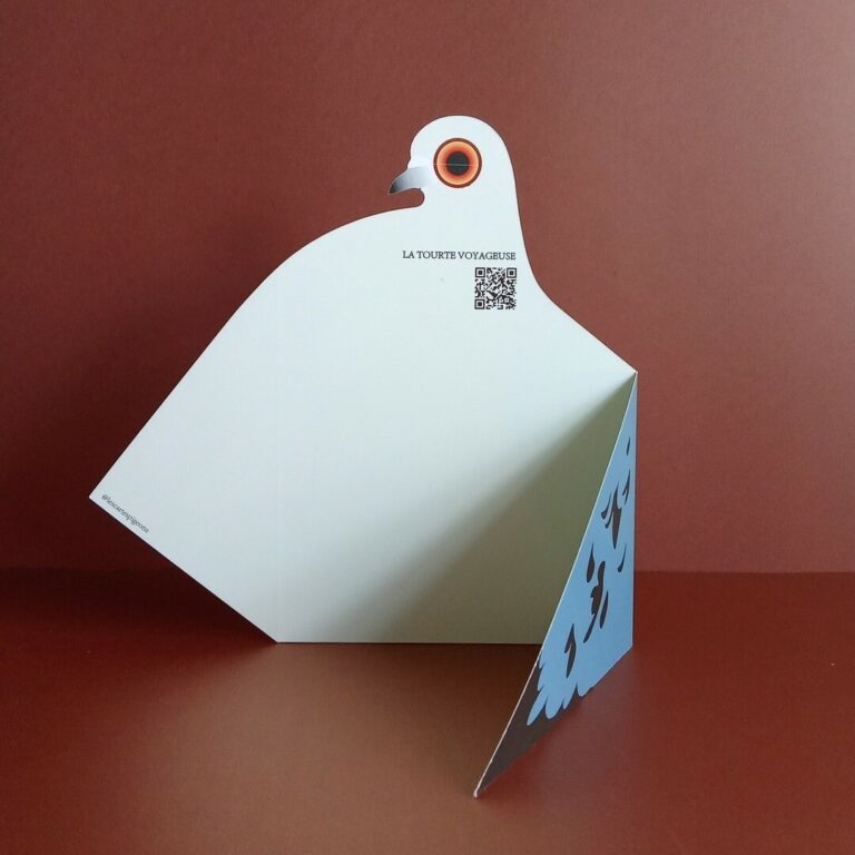 Cartes postales pochettes en découpées en forme de pigeon